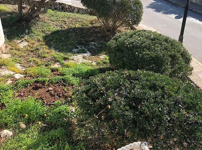 Binicudi Feriehus Binibeca