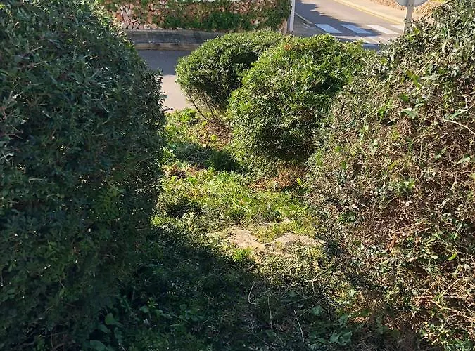 Feriehus Binicudi Binibeca